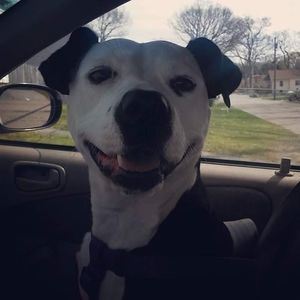 Meet your Posher, Jada